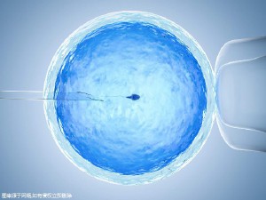 景泰胚胎实验室